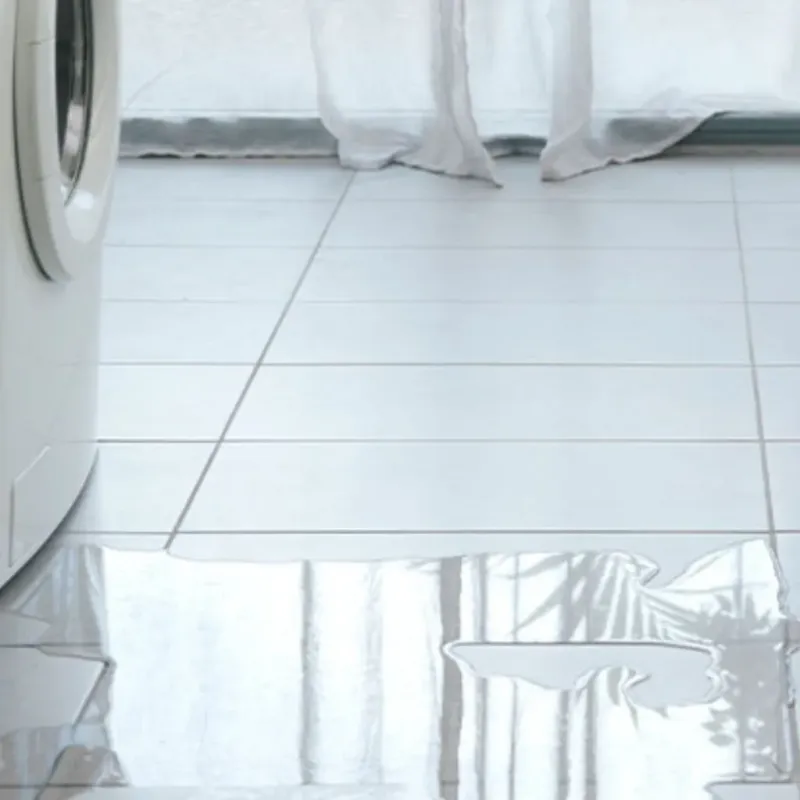 Appliance Leak Cleanup in Presque Isle, ME