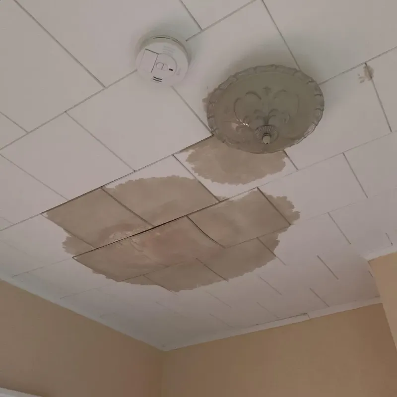 Ceiling Water Damage Repair in Presque Isle, ME