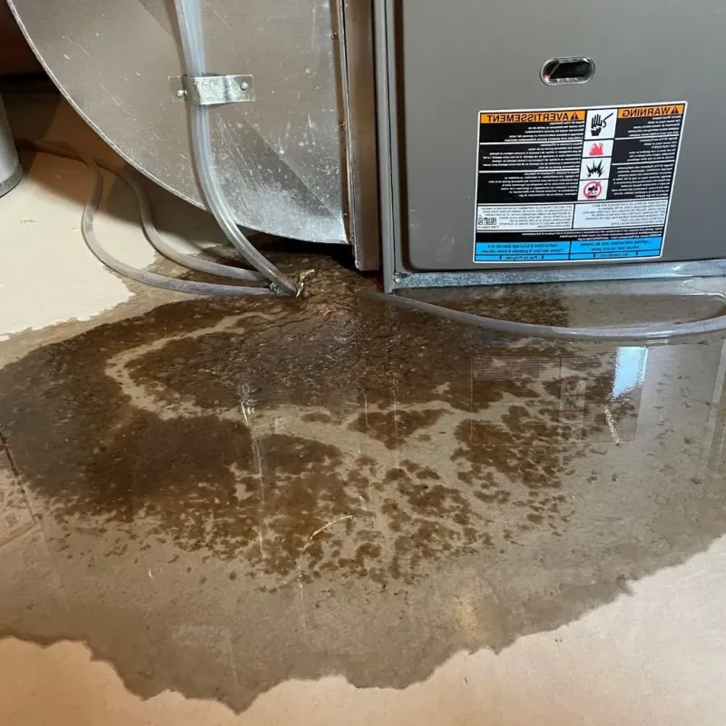 Pipe Burst and Leak Restoration in Presque Isle, ME