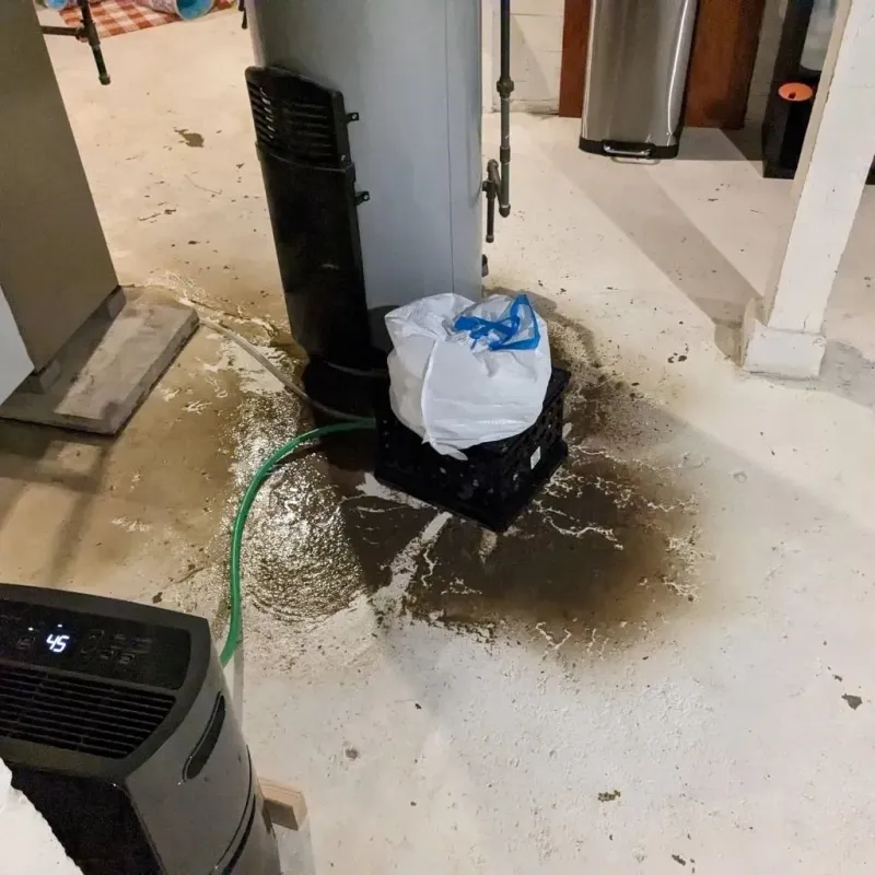 Sewage Backup Cleanup Service in Presque Isle, ME